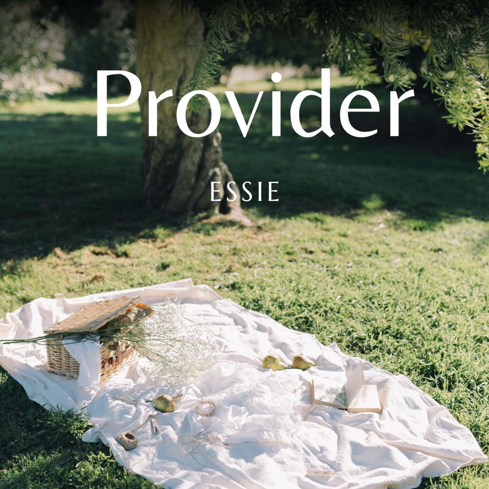 Provider