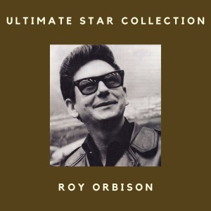 ดาวน์โหลดและฟังเพลง I Like Love พร้อมเนื้อเพลงจาก Roy Orbison