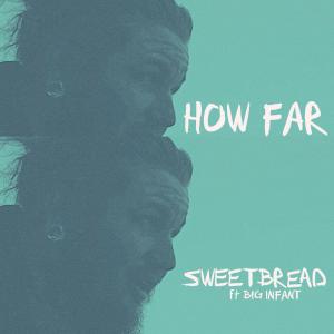 Listen to how far (feat. Big Infant) song with lyrics from Sweetbread
