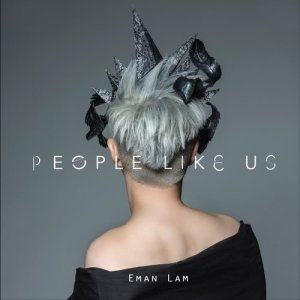 Album People Like Us from 林二汶