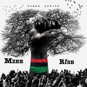 ดาวน์โหลดและฟังเพลง We Are All Africans พร้อมเนื้อเพลงจาก Mzee