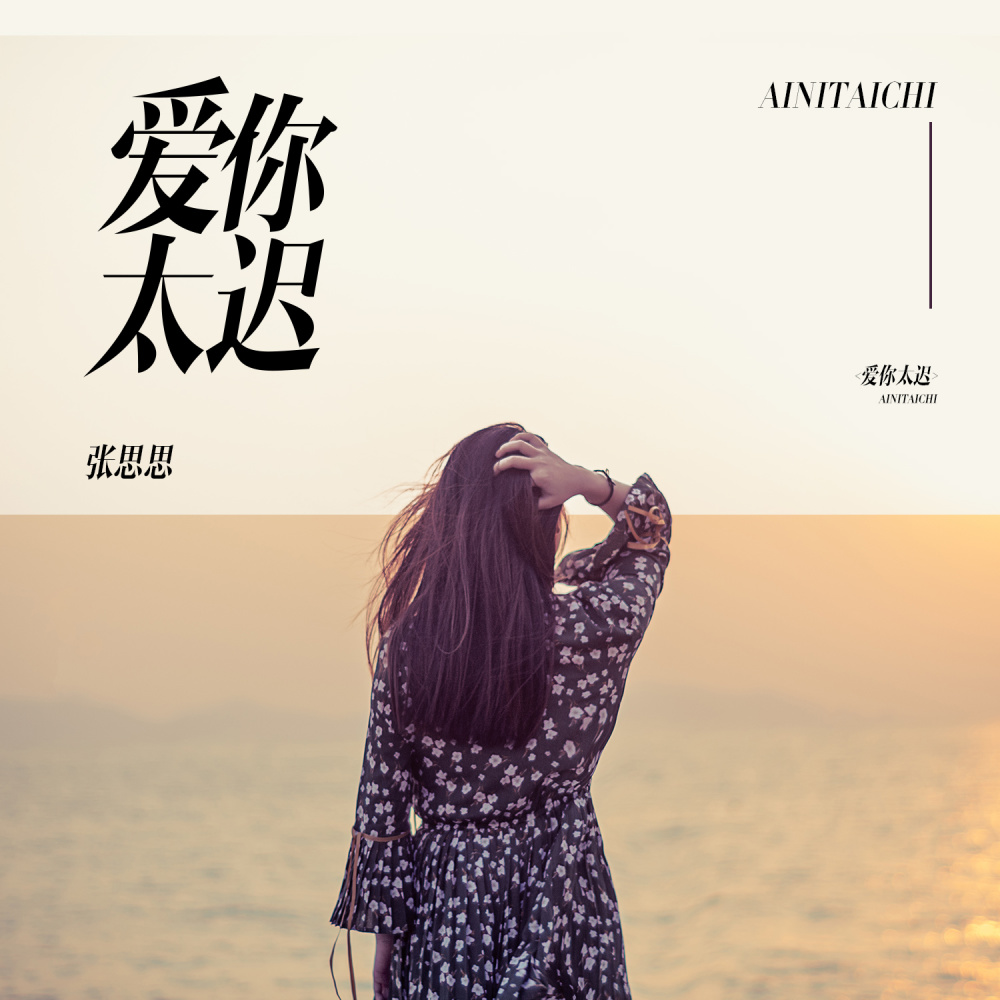 爱你太迟 (伴奏)