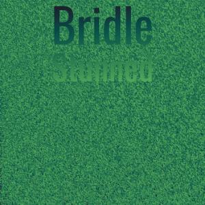 อัลบัม Bridle Stunned ศิลปิน Various