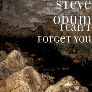 I Can't Forget You dari Steve Odum