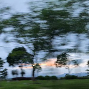 Listen to Blurred eyes song with lyrics from FALLT