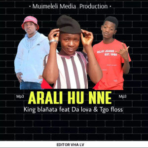ดาวน์โหลดและฟังเพลง ARALI HU NNE พร้อมเนื้อเพลงจาก KING BLAṄATA RSA