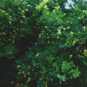 ดาวน์โหลดและฟังเพลง Каждый раз พร้อมเนื้อเพลงจาก Мир в эфире