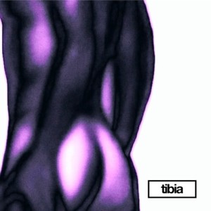 Tibia的专辑My strange house / Cover Girl (Farveblind Remix)