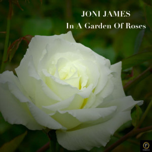 ดาวน์โหลดและฟังเพลง How Lucky You Are พร้อมเนื้อเพลงจาก Joni James