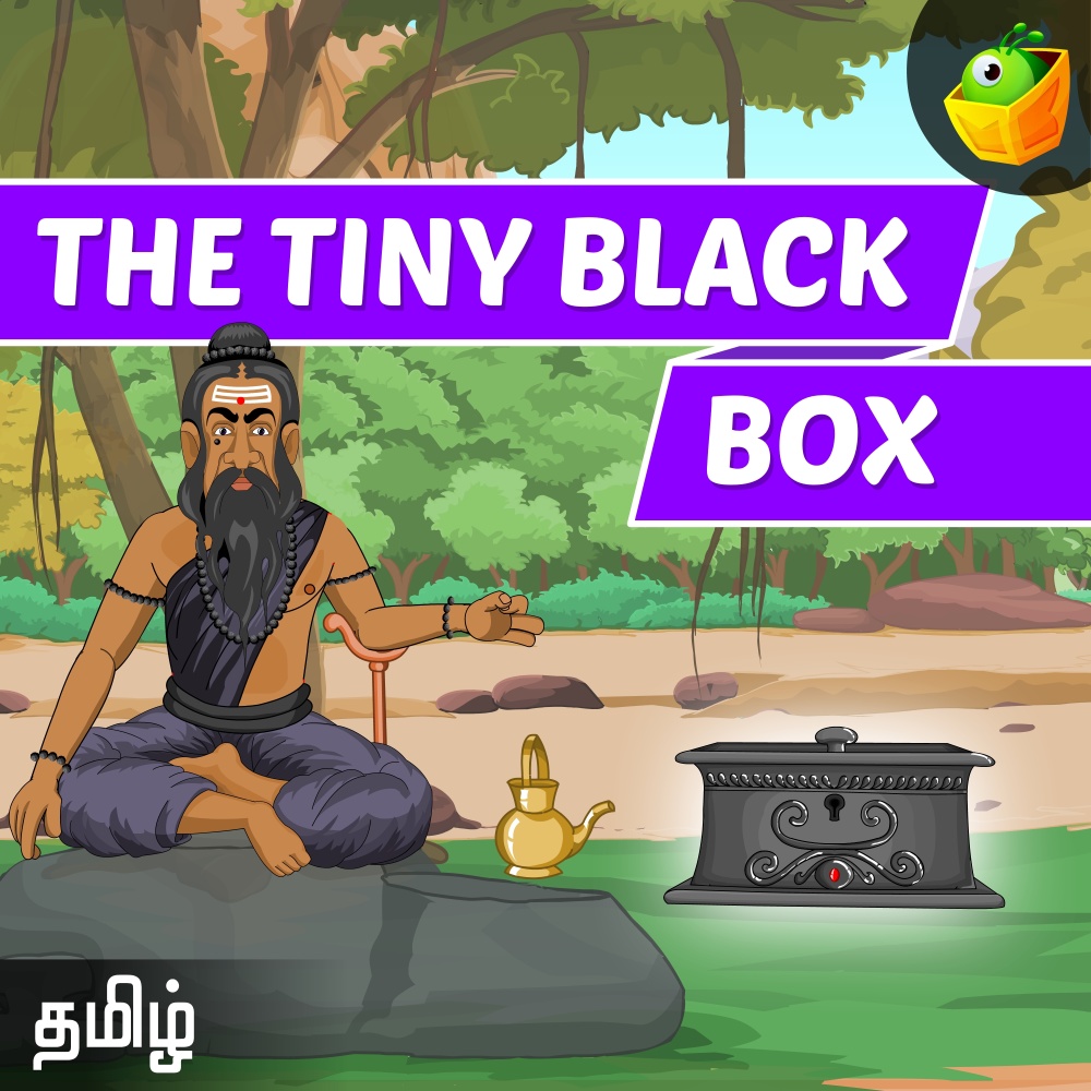 The Tiny Black Box