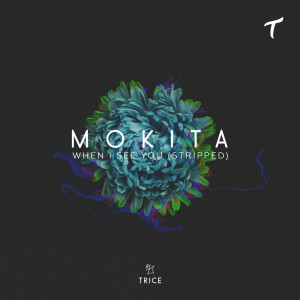 Listen to When I See You (Stripped) song with lyrics from Mokita