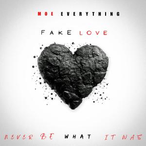 Moe Everything的專輯Fake Love (feat. Ashley Nicole) [Explicit]