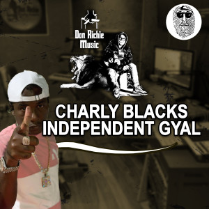 Charly Black的专辑INDEPENDENT GYAL