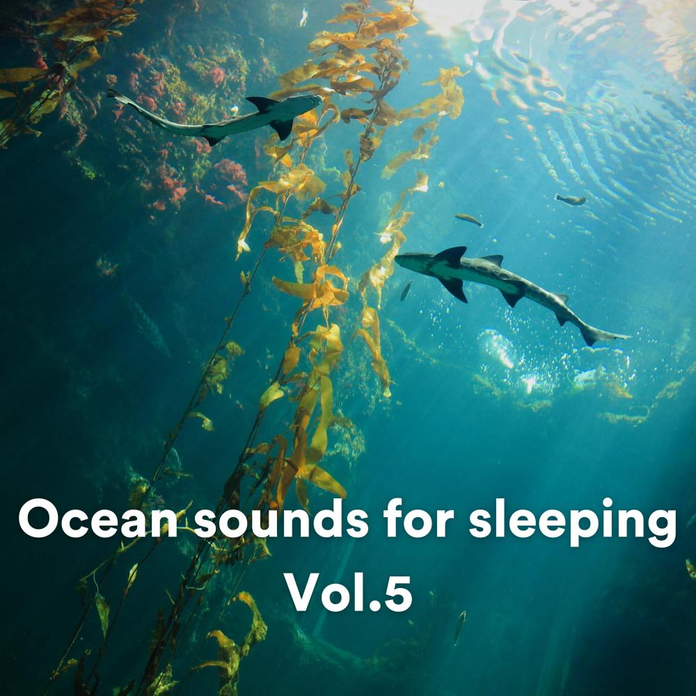 Ocean sounds for sleeping, Pt. 131