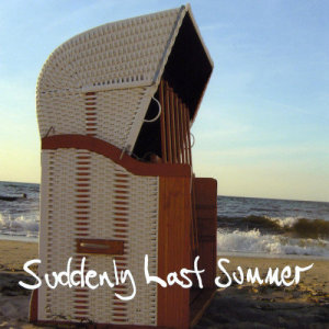 ดาวน์โหลดและฟังเพลง Where Have All The Flowers Gone? พร้อมเนื้อเพลงจาก Jimmy Somerville