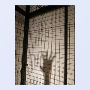 Listen to Fill song with lyrics from middmoon