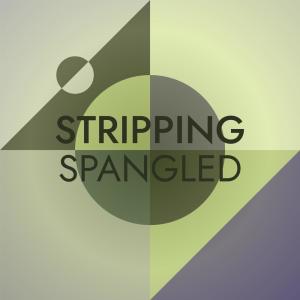 อัลบัม Stripping Spangled ศิลปิน Various