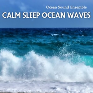 收聽Ocean Sound Ensemble的Calm Sleep Ocean Waves歌詞歌曲