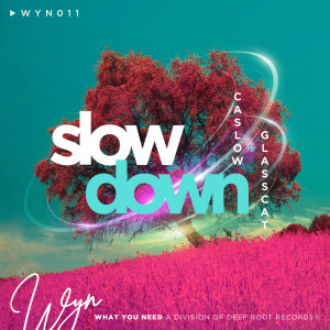 Album Slow Down from Caslow