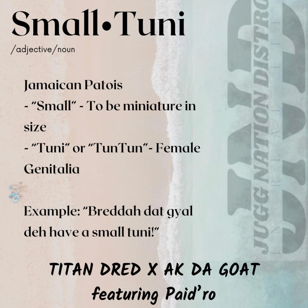 Small Tuni (feat. AK Da Goat & Paid'Ro) (Explicit)