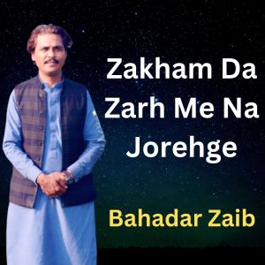 Listen to Zakham Da Zarh Me Na Jorehge song with lyrics from Bahadar Zaib