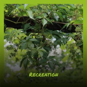 Dengarkan Inborn Illuminate lagu dari Maart Salve dengan lirik