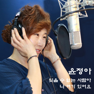Album 잊을 수 없는 사람아 / 나 여기 있어요 from 윤정아