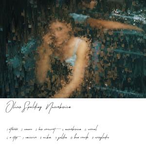 ดาวน์โหลดและฟังเพลง Everglades พร้อมเนื้อเพลงจาก Oliver Spalding