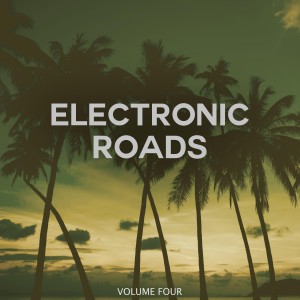 Various Artists的專輯Electronic Roads, Vol. 4