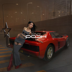 Album POSH oleh Sumling 李芯駖
