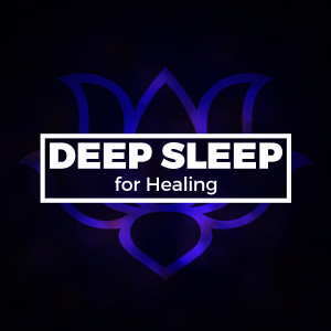 ดาวน์โหลดและฟังเพลง Back Porch Breeze พร้อมเนื้อเพลงจาก Deep Sleep Systems