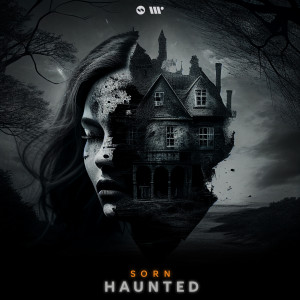 Listen to Haunted song with lyrics from SORN