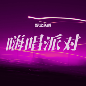 อัลบัม 嗨唱派对2024 ศิลปิน 田橙lucky