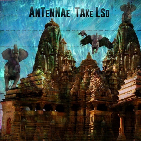 Take LSD (其他)