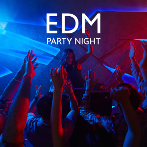 Album EDM Party Night (No Words Just Beats, Deep Electro House Party) from 
