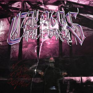 Listen to ЛИГОВСКИЙ ПРОСПЕКТ song with lyrics from Terror Letov