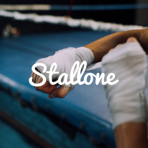 Album Stallone from Harry Hawaii
