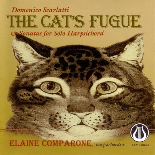 Sonata for harpsichord in D minor K 213