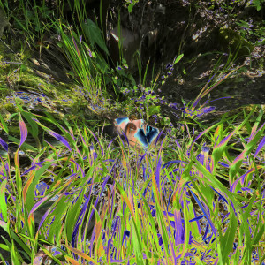 收聽Monke的Jungster歌詞歌曲