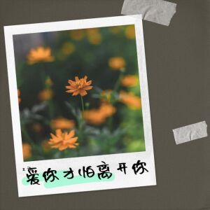 Album 爱你才怕离开你 from 王君