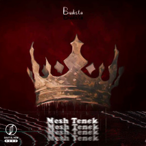 Listen to Mesh Tenek song with lyrics from Ahmed Khalid