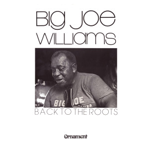 Album Back to the Roots from Big Joe Williams