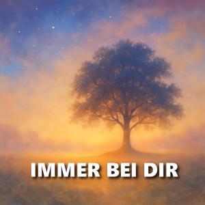 อัลบัม Immer bei dir ศิลปิน Emotions
