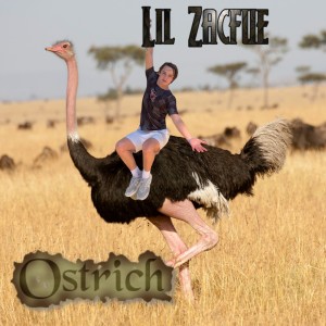 Album Ostrich from Lil Zacfue