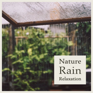 Listen to 舒适疗愈的雨声 song with lyrics from 贵族音乐ASMR