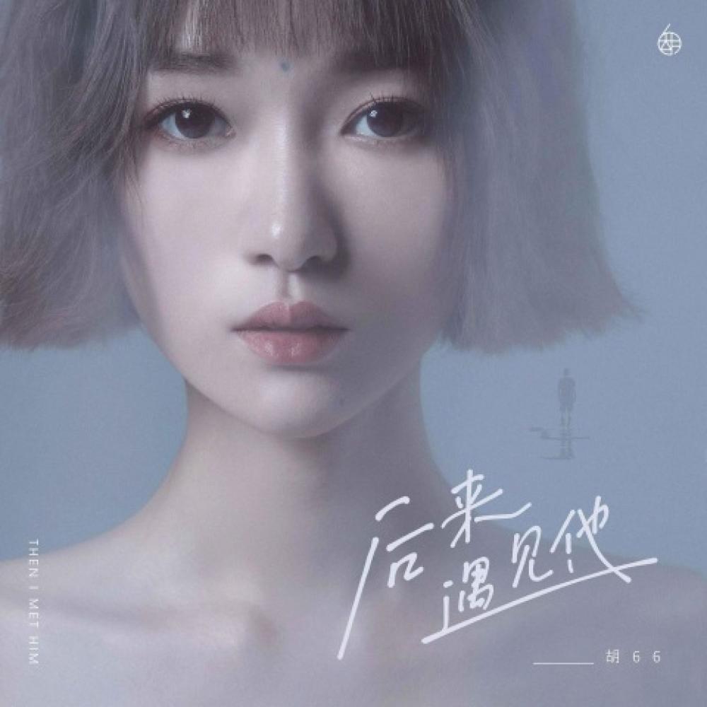 后来遇见他 (DJ阿卓版伴奏)