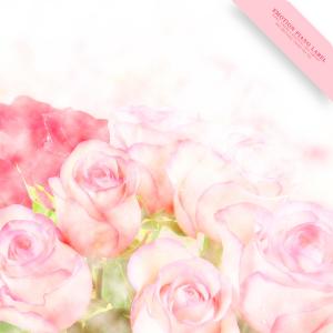 Album A Lyrical New Age Piano Collection With A Heart Of Love from Various Artists