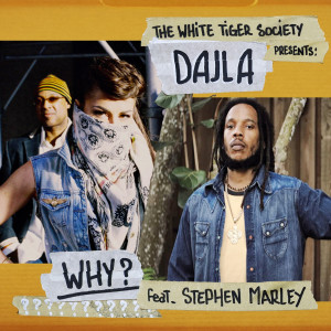 Album Why from Stephen Marley