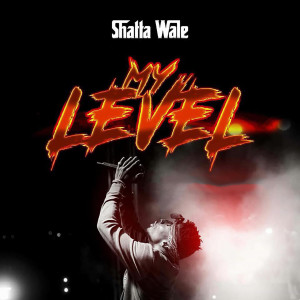 Dengarkan lagu My Level nyanyian Shatta Wale dengan lirik