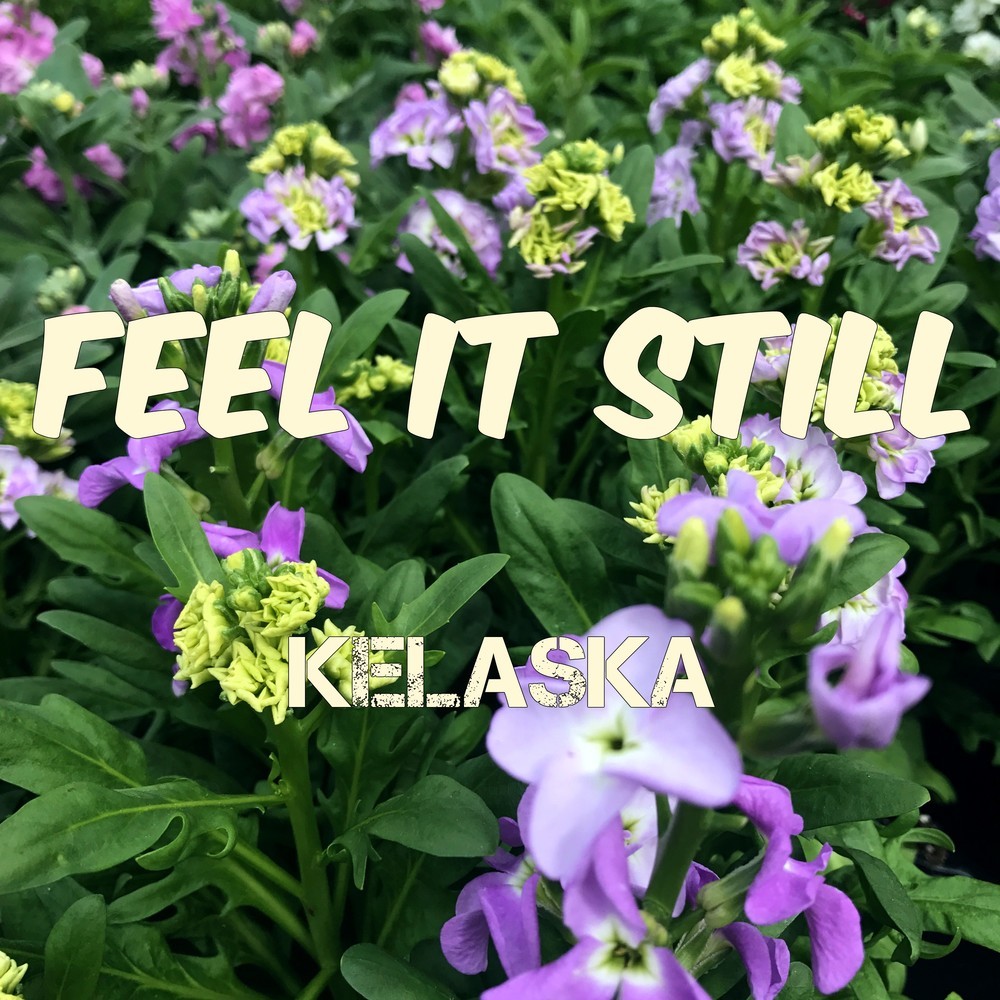 Feel It Still